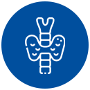 endocrinologia endocrinologia
