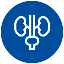 urologia urologia
